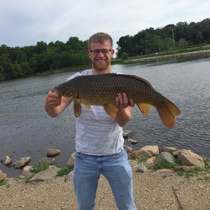 Meet your Posher, Dion